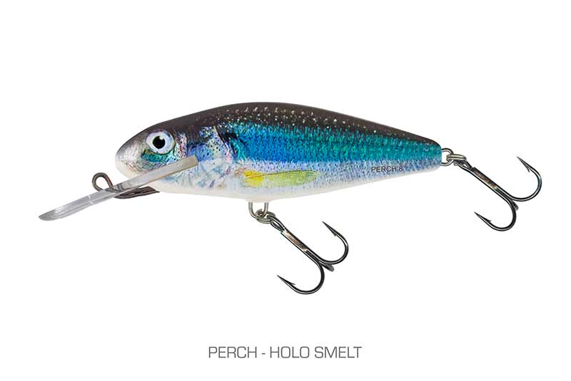 qph145_perch_sdr_holo_smeltjpg