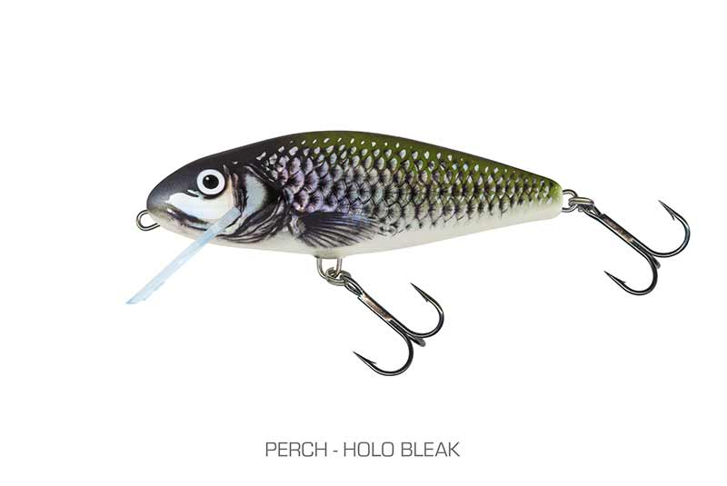 qph146_perch_holo_bleakjpg