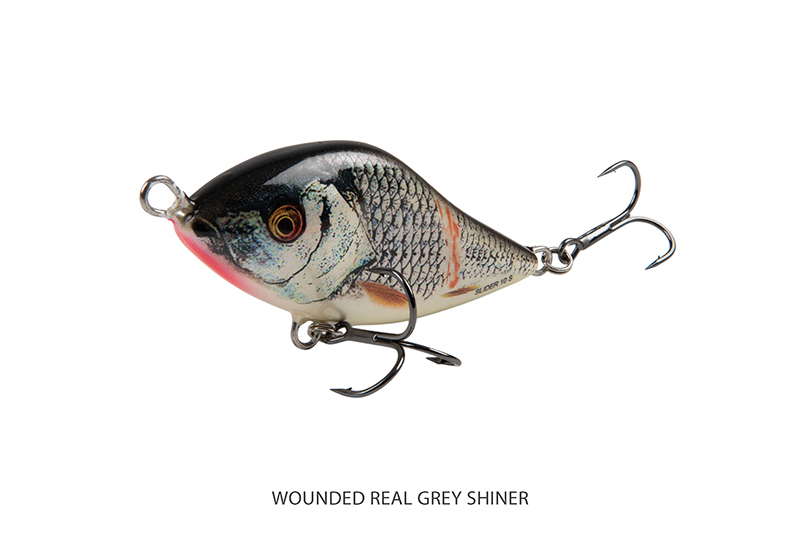 qsi009-012_salmo_slider_sinking_wounded_real_grey_shiner_angle_1jpg