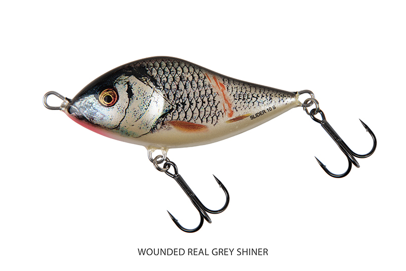 qsi009-012_salmo_slider_sinking_wounded_real_grey_shiner_mainjpg
