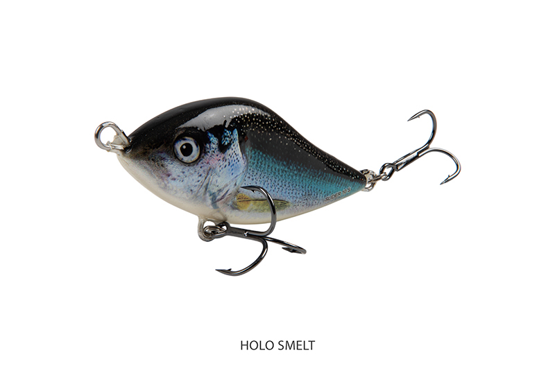 qsi021-024_salmo_sliders_sinking_holo_smelt_angle_1jpg
