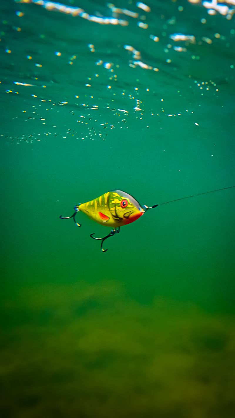 salmo-slider-12cm-3jpg