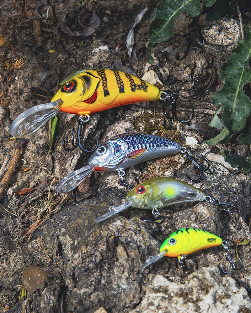 qrt001-024_salmo-rattlin-hornets_mainjpg