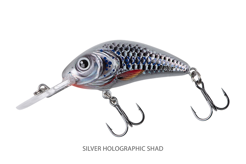 qrt013-014-015-016_salmo_rattlin_hornet_floating_silver_holographic_shad_mainjpg