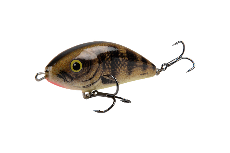 qfo001-002-003_salmo_fatso_sinking_emerald_perch_angle_1jpg