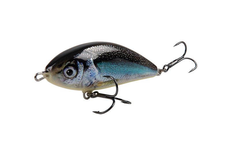 qfo010-011-012_salmo_fatso_sinking_holo_smelt_angle_1jpg