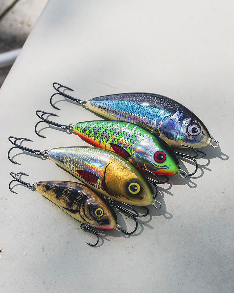 qfo001-020_salmo-fatso_mainjpg
