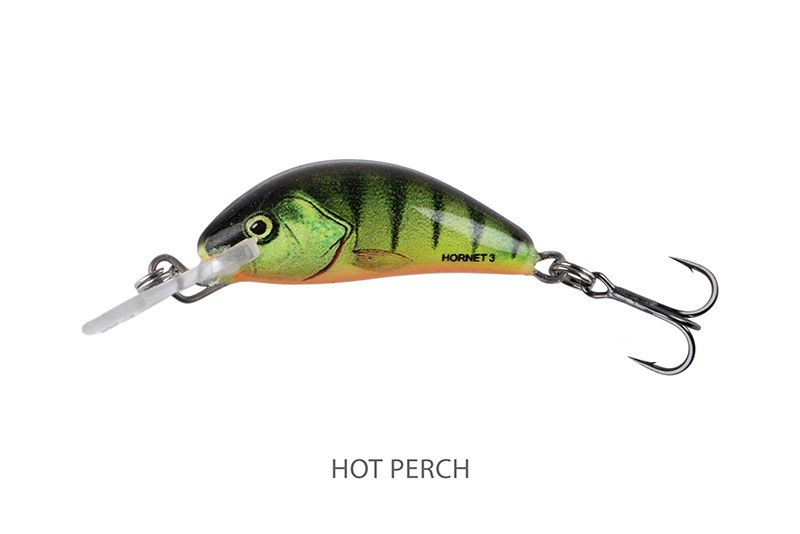 qnt001-002_salmo_hornet_sinking_hot_perch_mainjpg