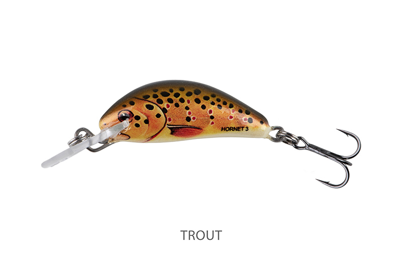 qnt006-007_salmo_hornet_sinking_trout_mainjpg