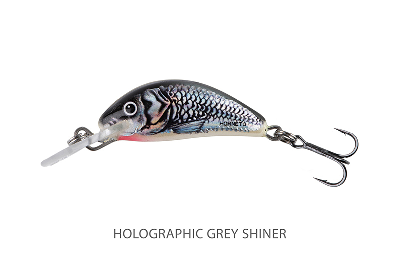 qnt010-011_salmo_hornet_sinking_grey_shiner_mainjpg