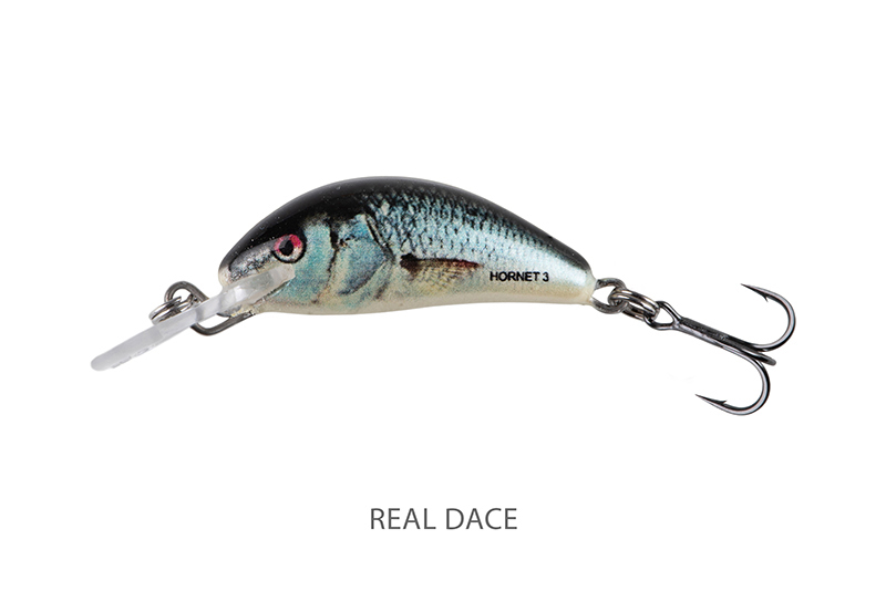 qnt015-016_salmo_hornet_sinking_real_dace_mainjpg