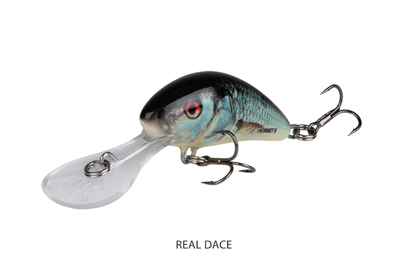 qnt017-018-019_salmo_hornet_sinking_real_dace_angle_1jpg
