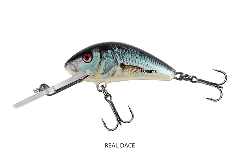 qnt017-018-019_salmo_hornet_sinking_real_dace_mainjpg