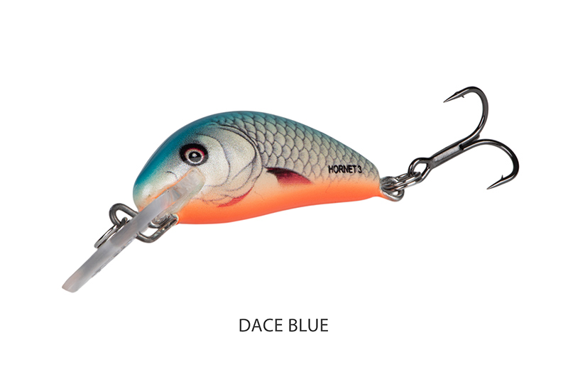 qnt024-025_salmo_hornet_sinking_dace_blue_angle_1jpg