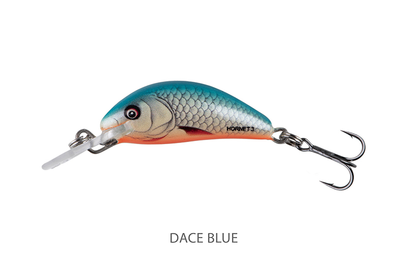 qnt024-025_salmo_hornet_sinking_dace_blue_mainjpg
