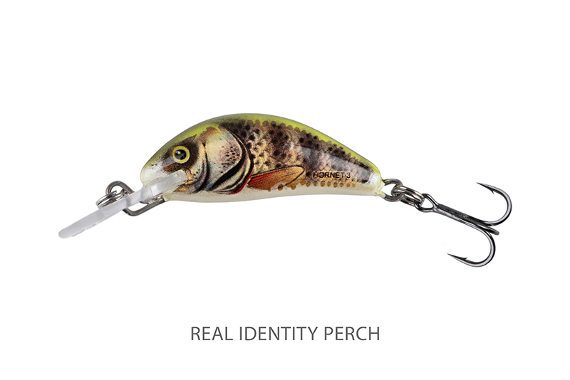 qnt028-029_salmo_hornet_sinking_real_identity_perch_mainjpg