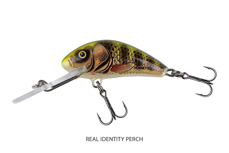 qnt030-031-032_salmo_hornet_sinking_real_identity_perch_mainjpg