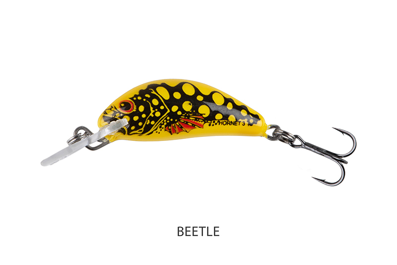 qnt033-034_salmo_hornet_sinking_beetle_mainjpg