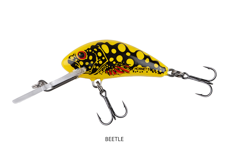qnt035-036_salmo_hornet_sinking_beetle_mainjpg