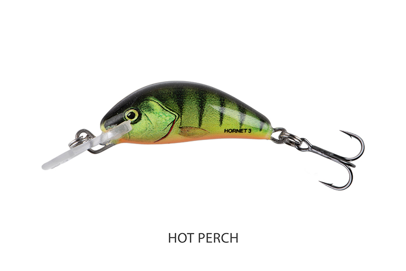 qnt037_salmo_hornet_floating_hot_perch_main_1jpg