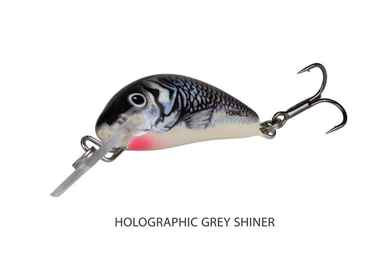qnt041_salmo_hornet_floating_grey_shiner_angle_1jpg