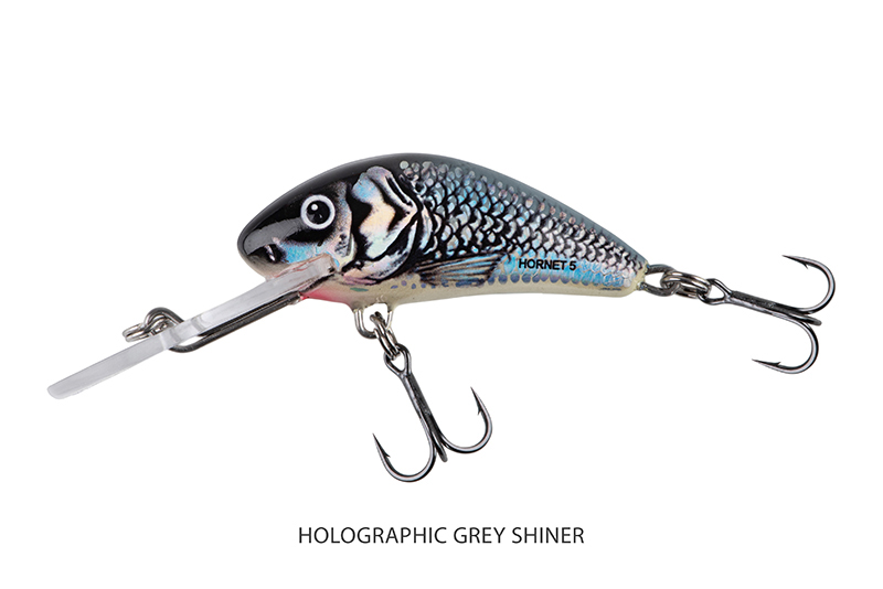 qnt043-044-045_salmo_hornet_floating_grey_shiner_mainjpg