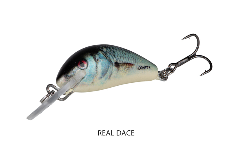 qnt045_salmo_hornet_floating_real_dace_angle_1jpg
