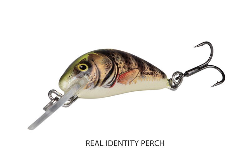 qnt056_salmo_hornet_floating_real_identity_perch_angle_1jpg