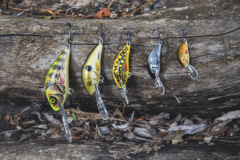 qnt001-065-salmo-hornets_mainjpg