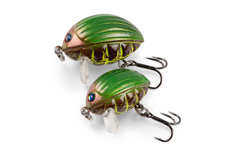 qbg023-024_lilbug-020_studiojpg