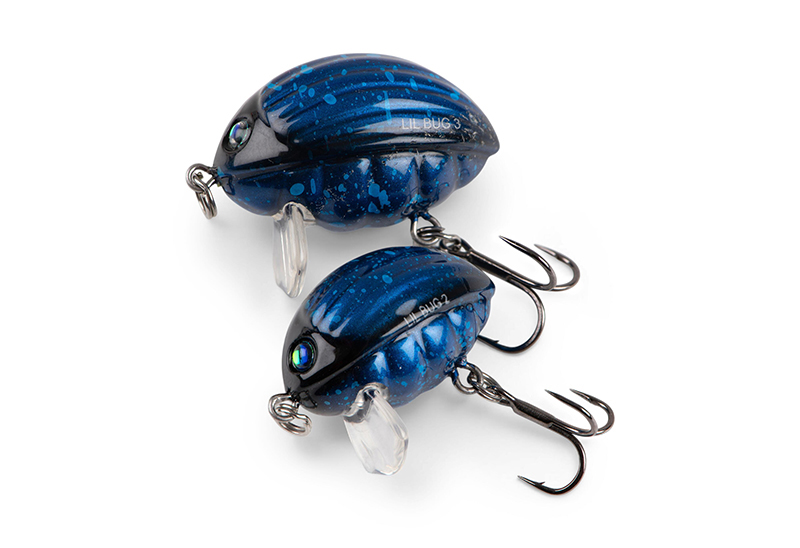 qbg031-032_lilbug-020_studiojpg
