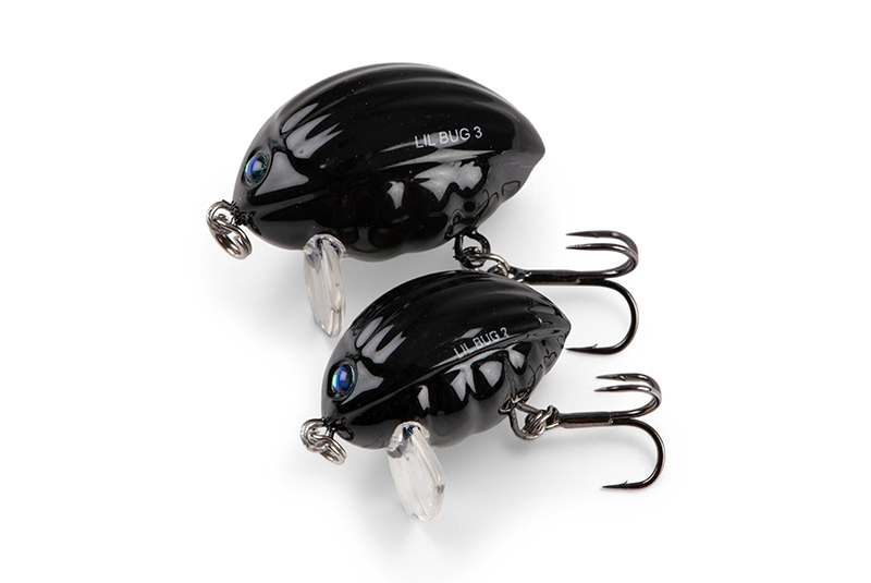 qbg029-030_lilbug-020_studiojpg