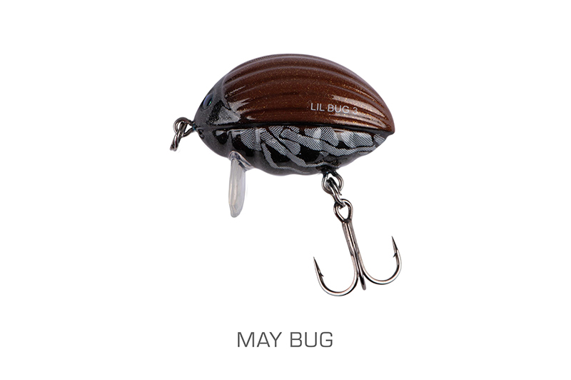 qbg027-028_lilbug-001_mainjpg