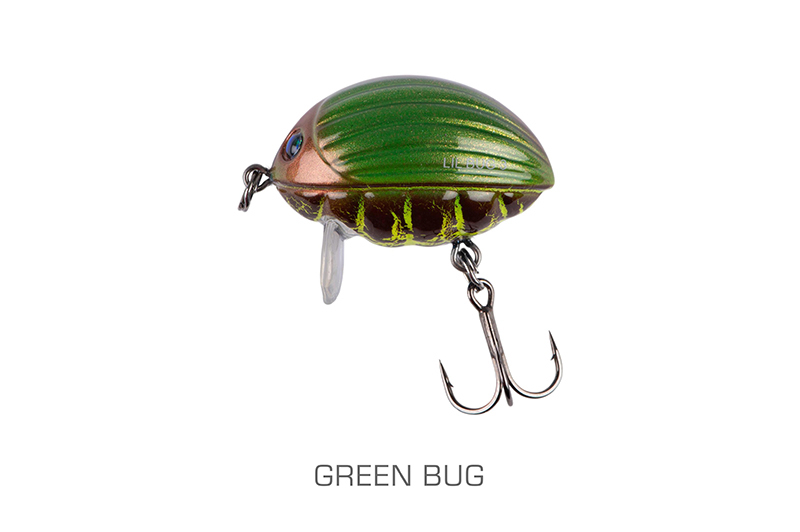 qbg023-024_lilbug-001_mainjpg