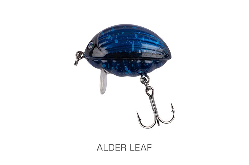 qbg031-032_lilbug-001_mainjpg