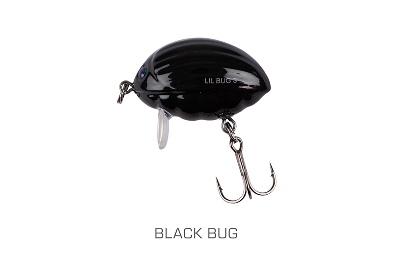 qbg029-030_lilbug-001_mainjpg
