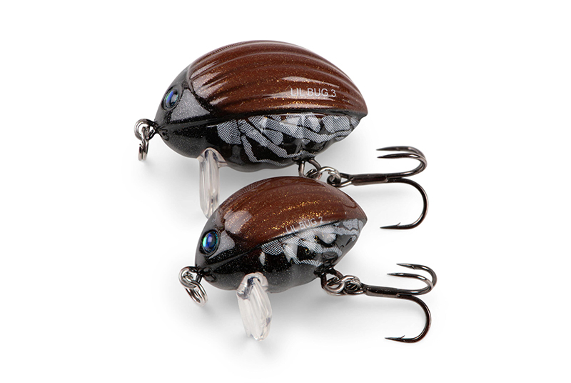 qbg027-028_lilbug-020_studiojpg
