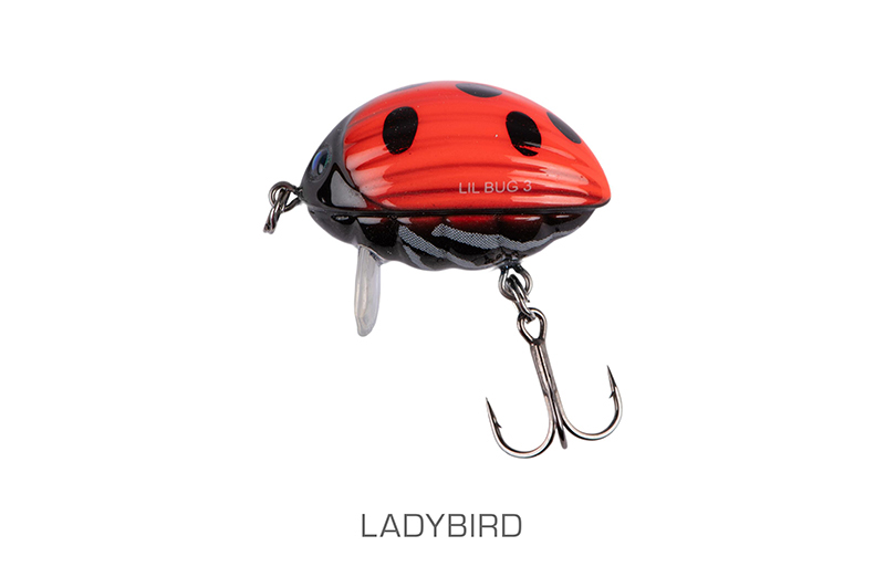 qbg025-026_lilbug-001_mainjpg