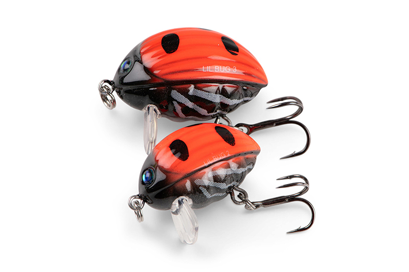 qbg025-026_lilbug-020_studiojpg