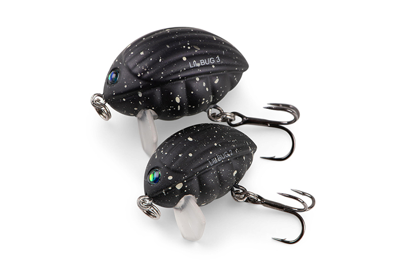 qbg033-034_lilbug-020_studiojpg