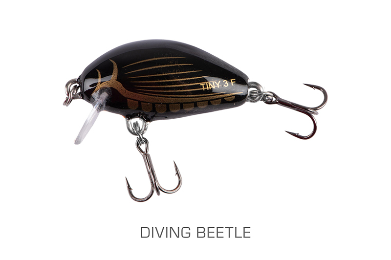 qit095_tiny3cmsinkingdivingbeetle-01_mainjpg