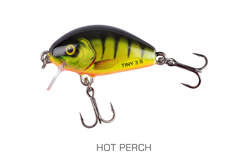 qit098_tiny3cmsinkinghotperch-01_mainjpg