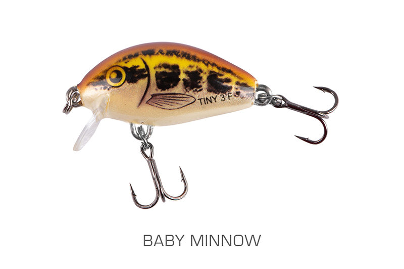 qit096_tiny3cmsinkingbabyminnow-01_mainjpg