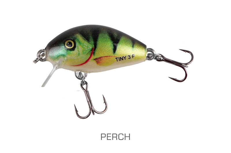 qit091_tiny3cmsinkingsinkingperch-01_mainjpg