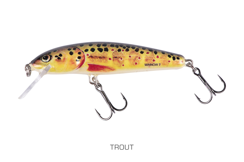 qmw240-241_minnow-001_mainjpg