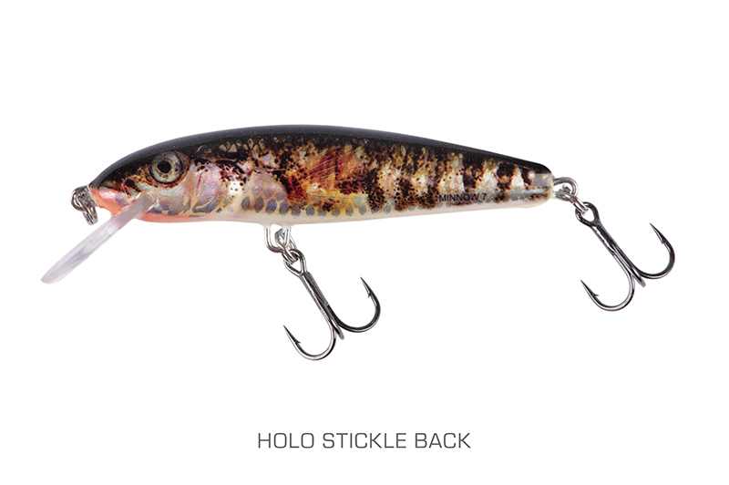 qmw242-243_minnow-001_mainjpg