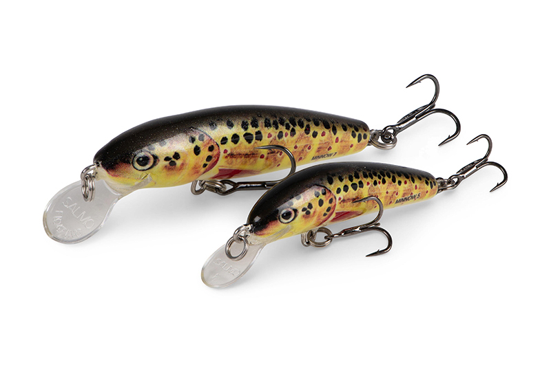 qmw240-241_minnow-020_studiojpg