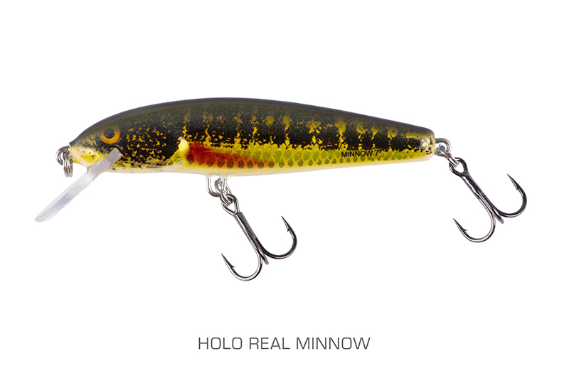qmw236-237_minnow-001_mainjpg