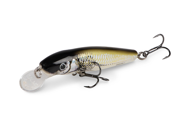 qmw238-239_minnow-020_studiojpg