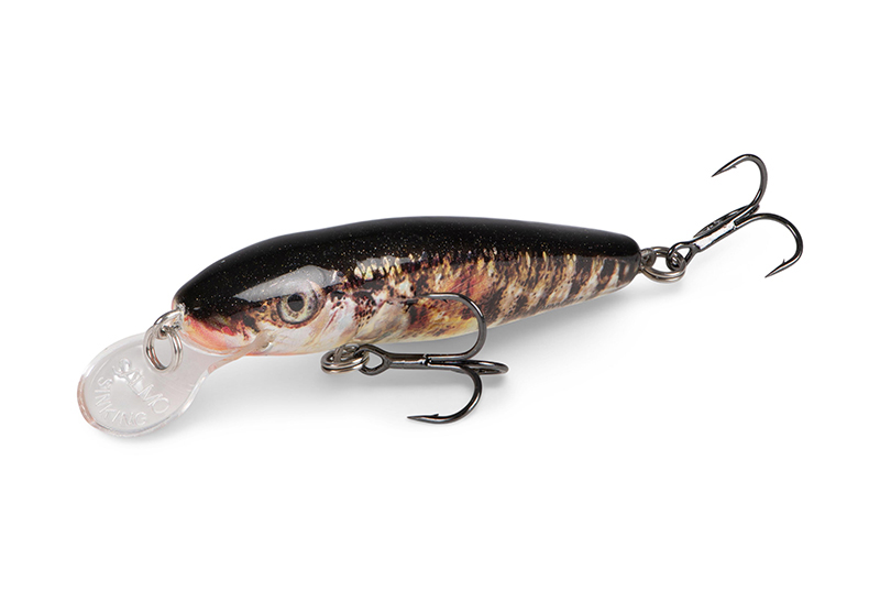 qmw242-243_minnow-020_studiojpg